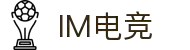 IM(股份有限公司)电竞-电子竞技平台